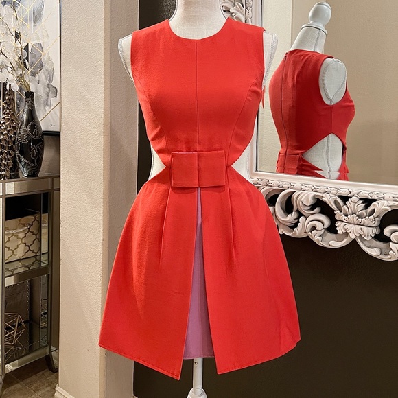 BCBG MaxAzria CUT OUT Colorblock DRESS Size 0 - Picture 3 of 9